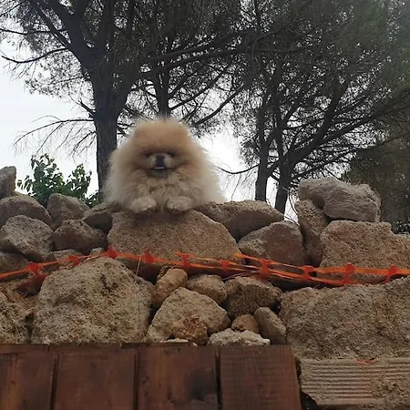 別荘 Maravillosa Casa Con Piscina Grande Y Bosque トルデラ